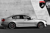 BMW Seria 5 GT by TopCar, Cardi & Lumma Design!