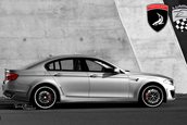 BMW Seria 5 GT by TopCar, Cardi & Lumma Design!