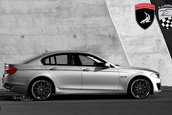 BMW Seria 5 GT by TopCar, Cardi & Lumma Design!