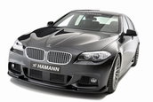 BMW Seria 5 M Sport by Hamann