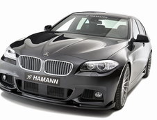 BMW Seria 5 M Sport by Hamann