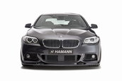 BMW Seria 5 M Sport by Hamann