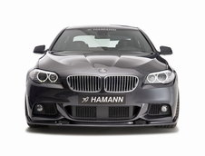 BMW Seria 5 M Sport by Hamann