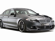 BMW Seria 5 M Sport by Hamann