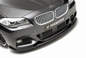 BMW Seria 5 M Sport by Hamann