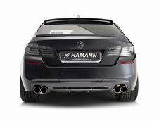 BMW Seria 5 M Sport by Hamann