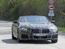 BMW Seria 8 Cabrio - Poze interior