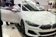 BMW Seria 8 surprins necamuflat