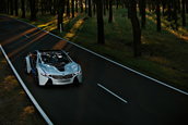 BMW Vision EfficientDynamics in detaliu