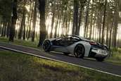 BMW Vision EfficientDynamics in detaliu