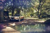 BMW Vision iNext