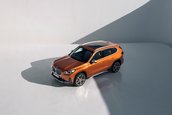 BMW X1 si BMW iX1