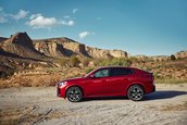 BMW X2 si BMW iX2