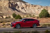 BMW X2 si BMW iX2
