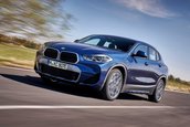 BMW X2 xDrive25e