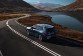BMW X3 L