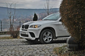 BMW X6 Performance