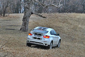 BMW X6 Performance