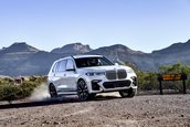 BMW X7 - Galerie Foto