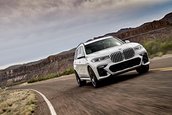 BMW X7 - Galerie Foto