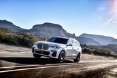 BMW X7 - Galerie Foto