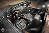 BMW Z4 by Carlex Design