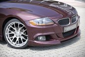 BMW Z4 by Rieger