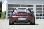 BMW Z4 by Rieger