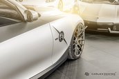 BMW Z4 E85 by Carlex Design