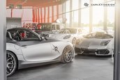 BMW Z4 E85 by Carlex Design