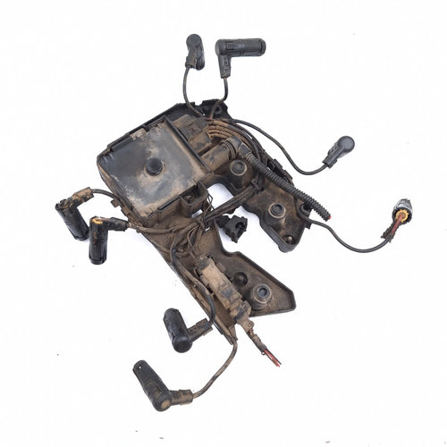 Bobina Bmw 7 (E65, E66, E67) 2001-2008 740 D M67 D39 (398D1) Motorina