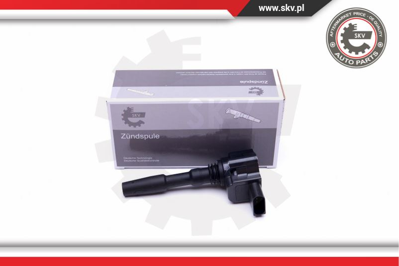 Bobina de aprindere ; AUDI A6 (C7) 4.0 ; 079905110N