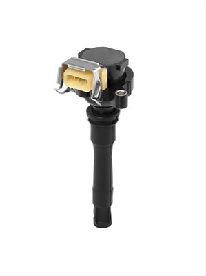 Bobina De Inductie Beru Rover ZS435