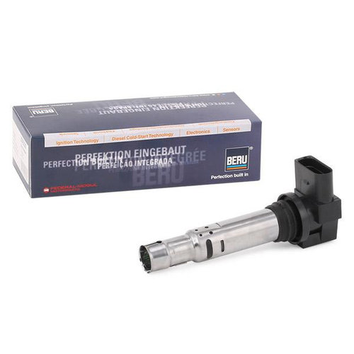 Bobina De Inductie Beru ZSE030