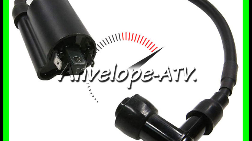 Bobina Inductie ATV 250 260 300 350 cu 2 Pini