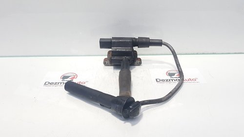 Bobina inductie, Land Rover Freelander (LN) 1.8 b, cod MB029700-8230 (id:377085)