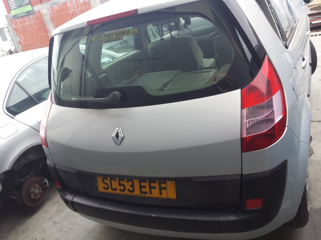 Bobina inductie Renault Scenic II 2008 H