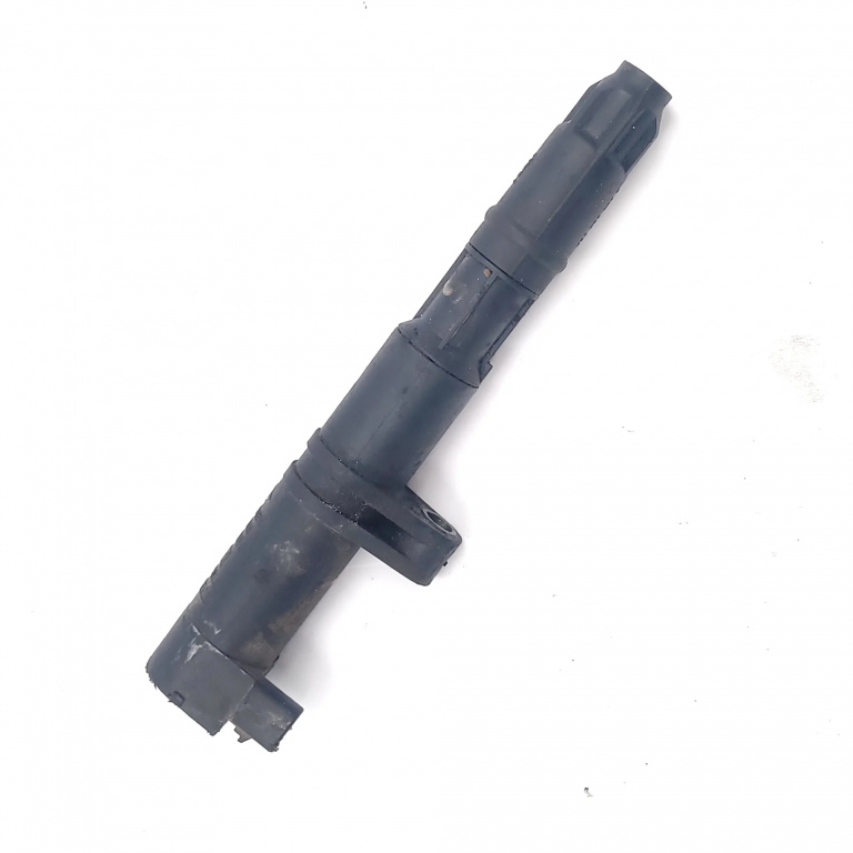 Bobina Renault Megane 2 2002-2010 2.0 F4R 770 Benzina 7700875000, 0040100048, 8200206611, 24041 Behr