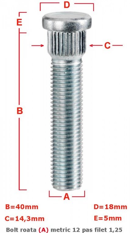 BOLT ROATA METRIC 12 PAS FILET 1,25 40MM – COD B143B40