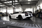Born to Win: Murcielago LP640 Twin Turbo by SP Engineering