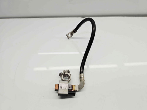 Borna baterie (-) Bmw 3 Touring (F31) [Fabr 2012-2017] 7631109
