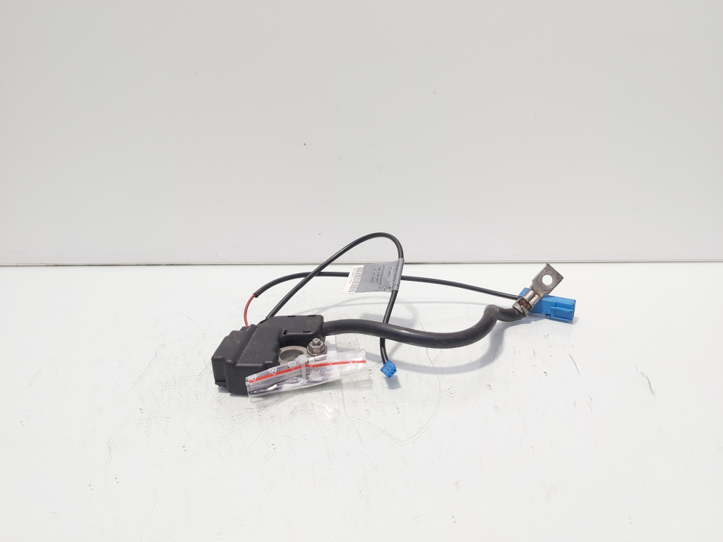 Borna baterie (-), cod 9184207-02, Bmw 3 (E90) (id:687117)