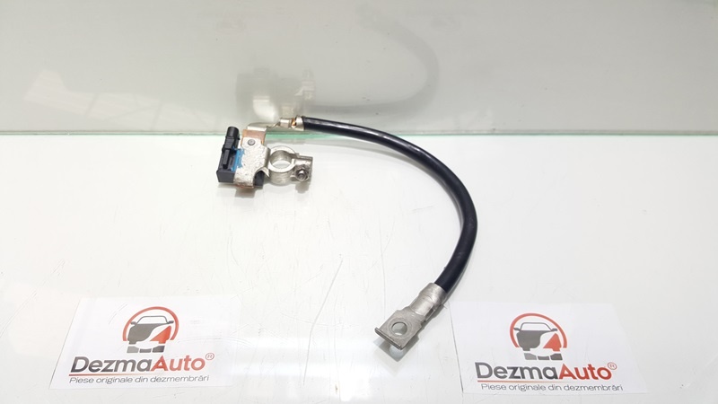 Borna baterie cu capsa 7616200-01, Bmw 3 coupe (E92)