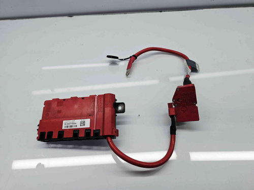 Borna baterie (+) cu capsa Bmw 3 Touring (F31) [Fabr 2012-2017] 9259425