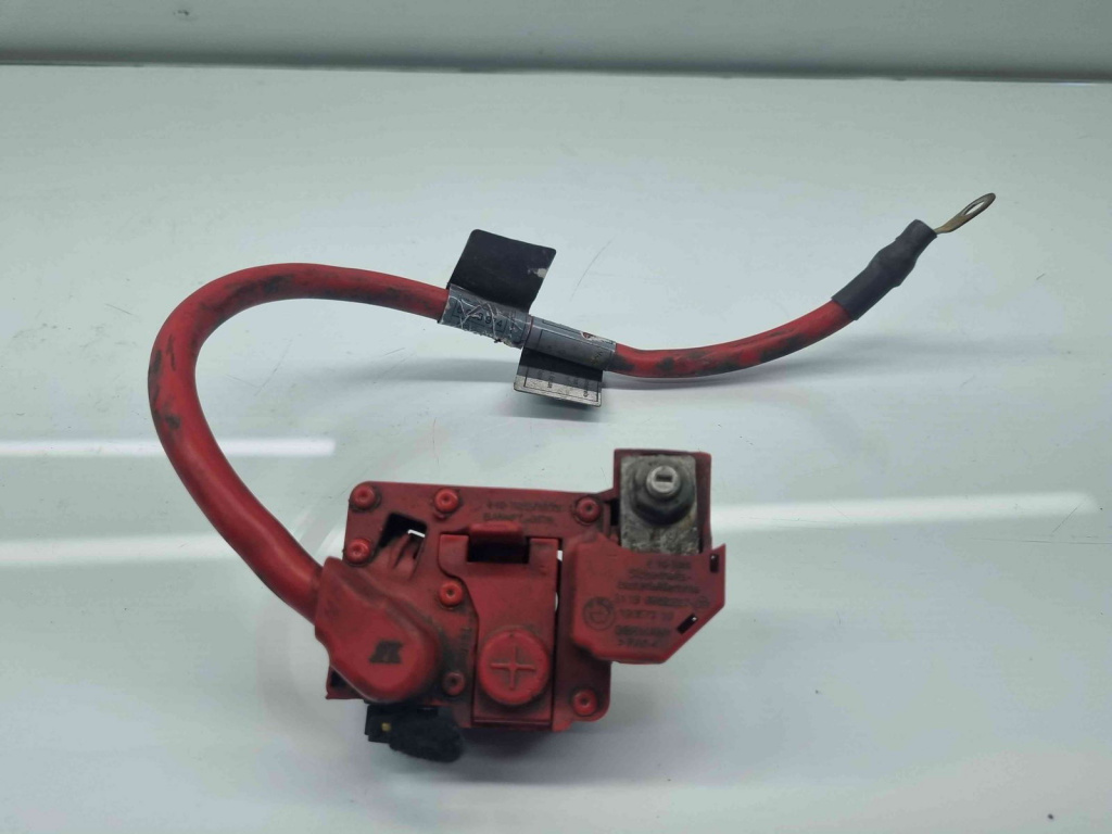 Borna baterie (+) cu capsa Bmw X1 (E84) [Fabr 2009-2015] 698847-01