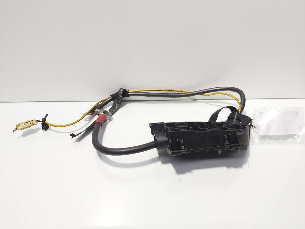 Borna baterie (+) cu capsa, cod 4F0915519, Audi A5 Cabriolet (8F7) (idi:674611)