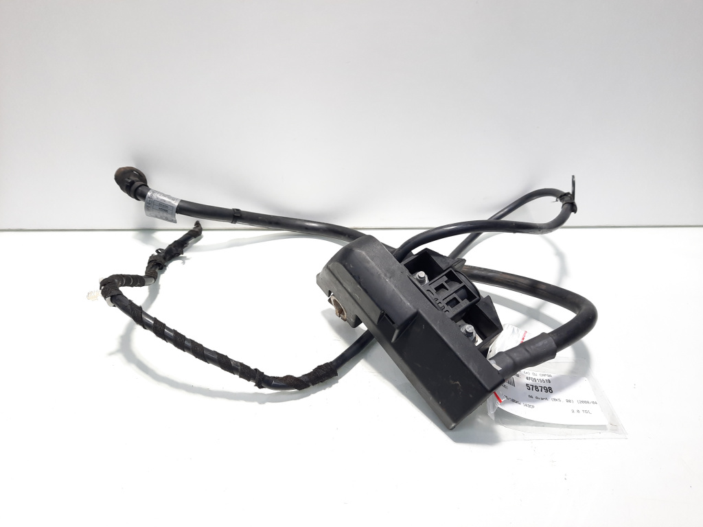 Borna baterie (+) cu capsa, cod 4F0915519, Audi A5 Cabriolet (8F7) (idi:578798)