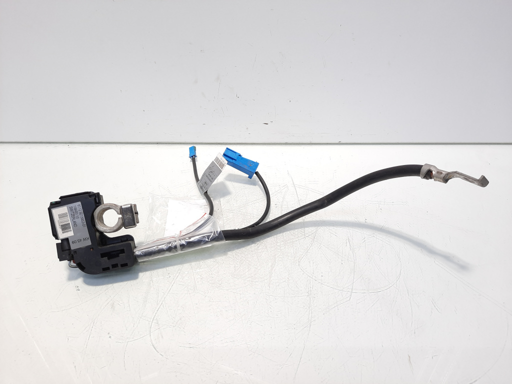 Borna baterie (-) cu capsa, cod 9215953-01, Bmw X1 (E84) (id:560297)