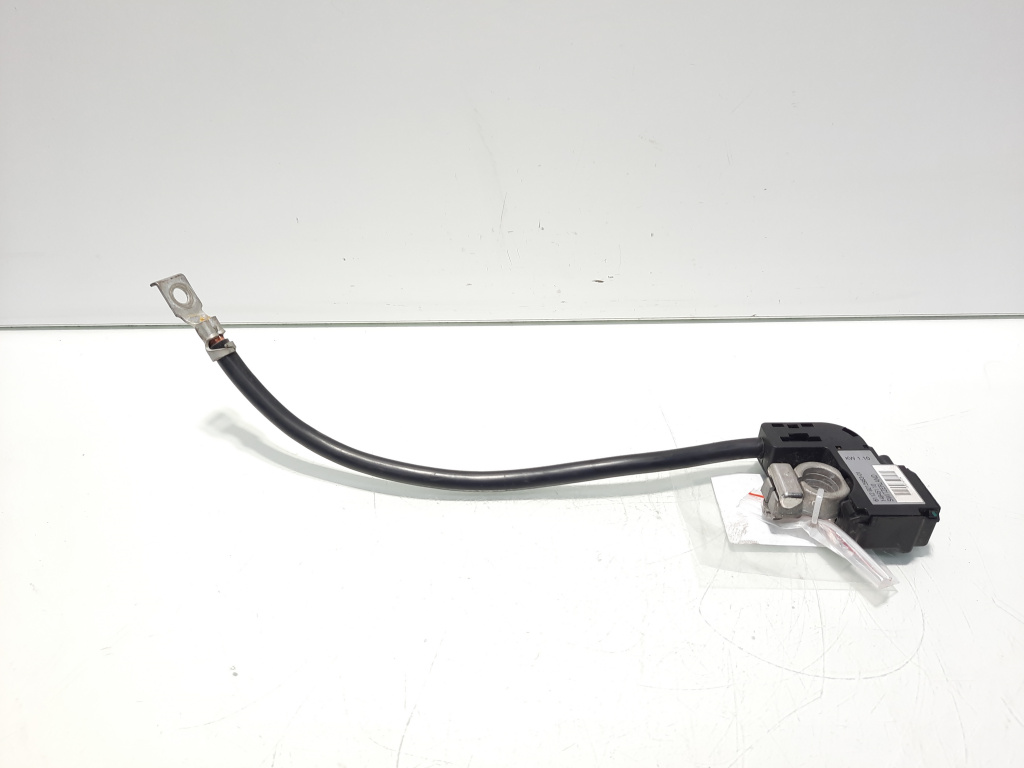 Borna baterie (-) cu capsa, cod 9215953-01, Bmw X1 (E84) (id:554304)