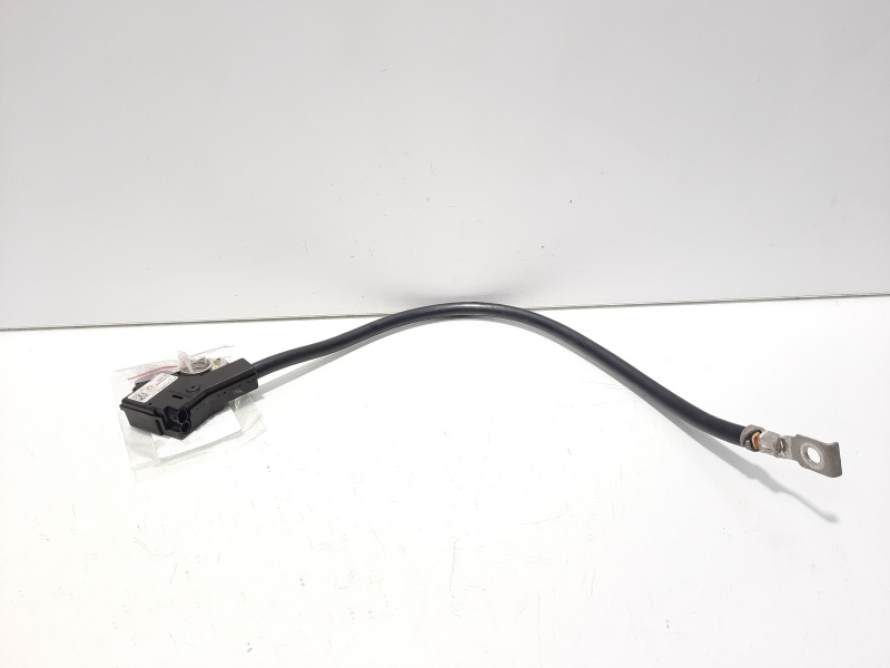 Borna baterie (-) cu capsa, cod 9215978-01, Bmw 5 Touring (F11) (idi:607765)
